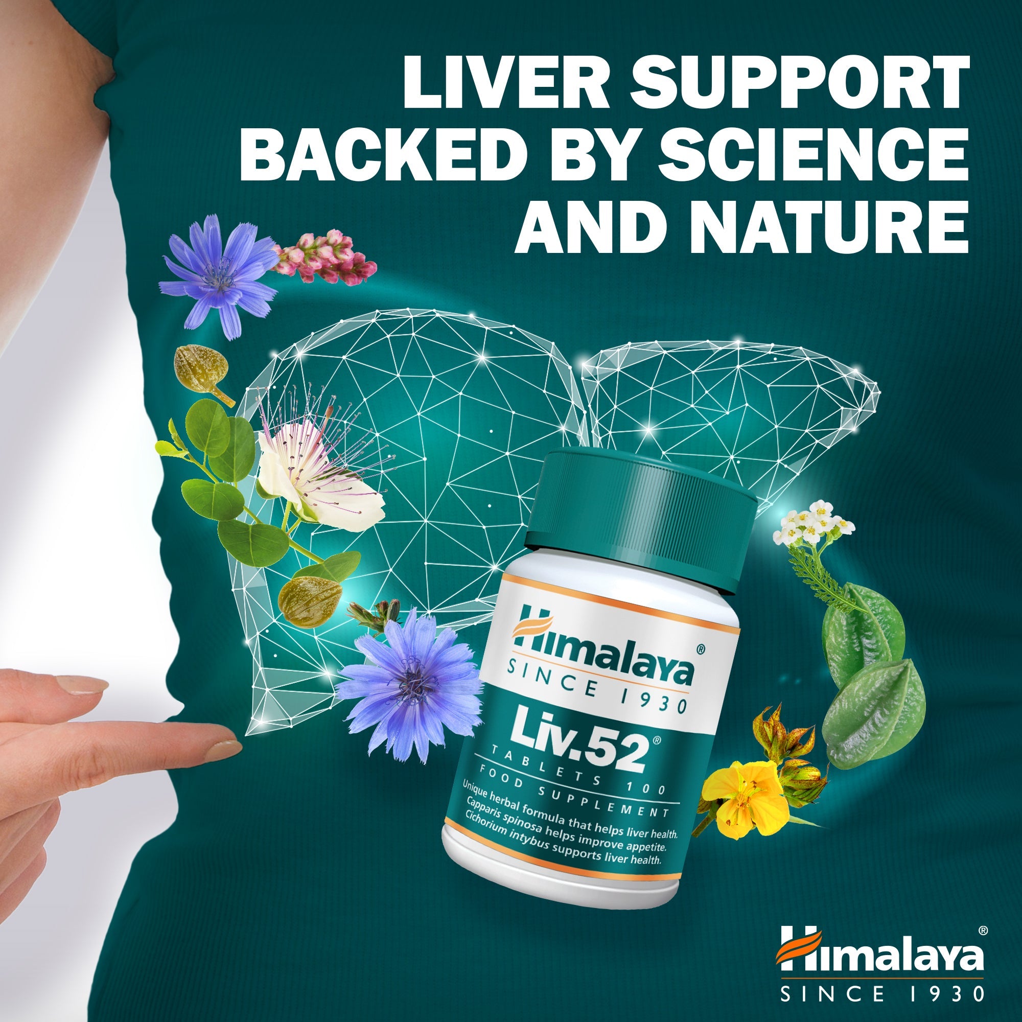 Himalaya Liv.52 - 100 Tablets